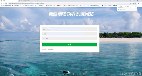 java畢業(yè)設計 ssm流浪動物領養(yǎng)系統(tǒng)網站jsp包含文檔代碼講解